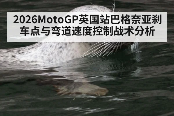 2026MotoGP英国站巴格奈亚刹车点与弯道速度控制战术分析
