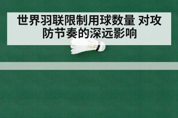世界羽联限制用球数量 对攻防节奏的深远影响