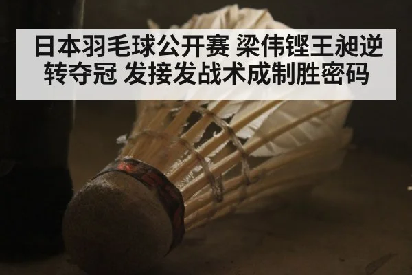 日本羽毛球公开赛 梁伟铿王昶逆转夺冠 发接发战术成制胜密码